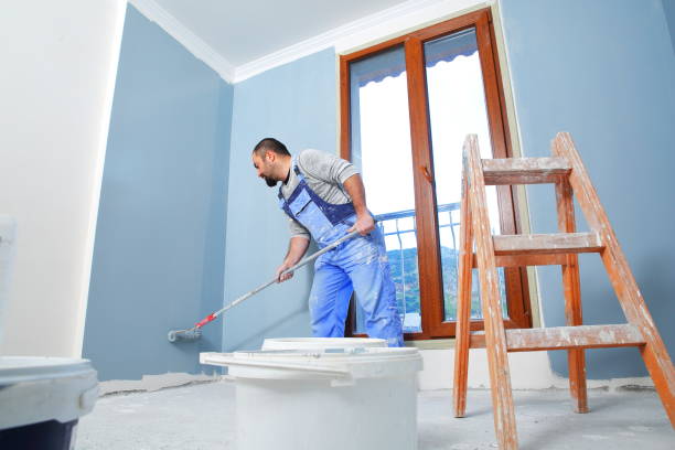 Best Drywall Removal and Disposal  in Lexington, IL